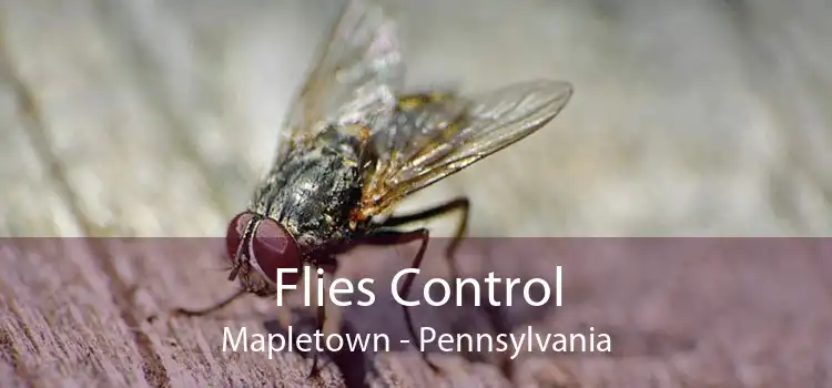 Flies Control Mapletown - Pennsylvania