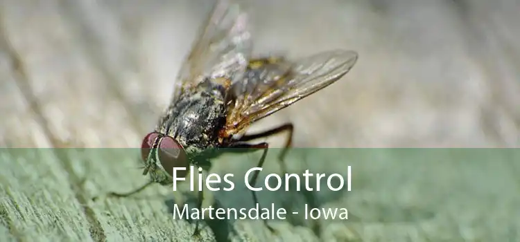 Flies Control Martensdale - Iowa