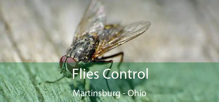 Flies Control Martinsburg - Ohio