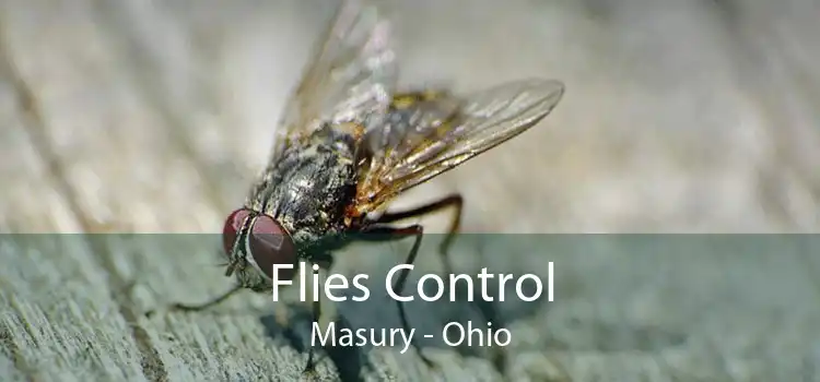Flies Control Masury - Ohio