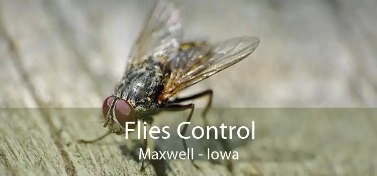 Flies Control Maxwell - Iowa