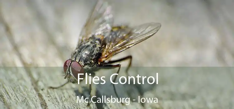 Flies Control Mc Callsburg - Iowa