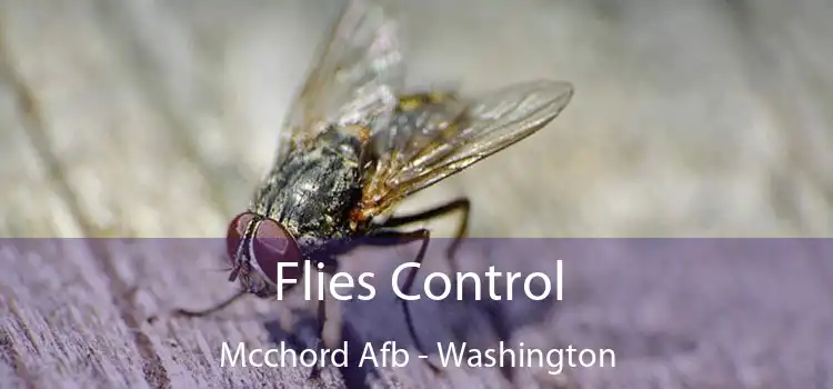Flies Control Mcchord Afb - Washington