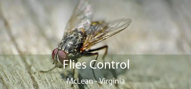 Flies Control McLean - Virginia