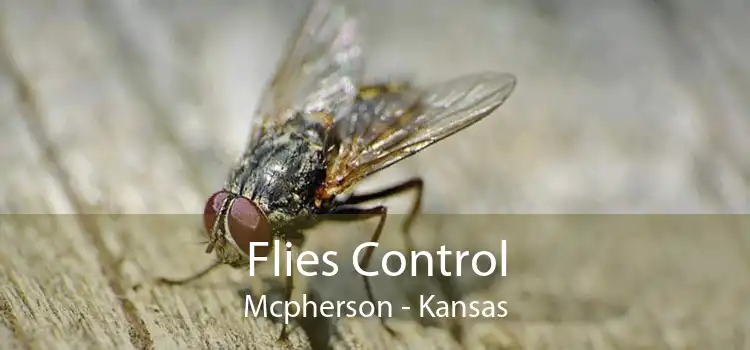 Flies Control Mcpherson - Kansas