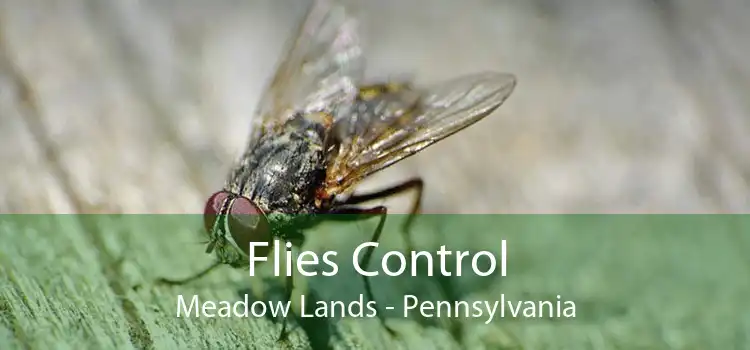 Flies Control Meadow Lands - Pennsylvania