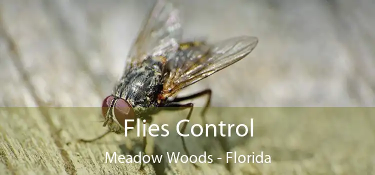 Flies Control Meadow Woods - Florida
