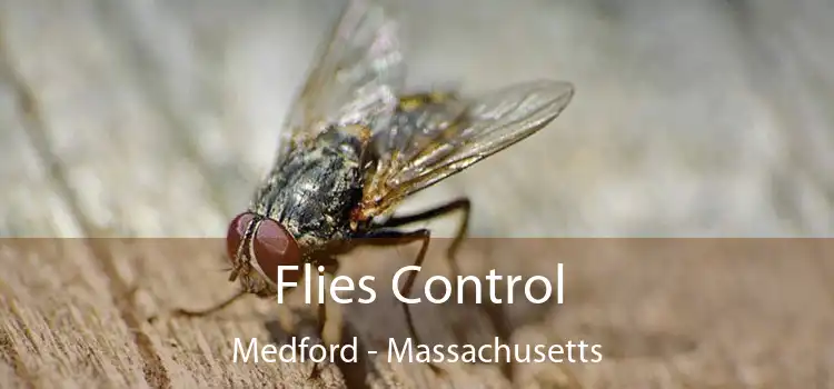 Flies Control Medford - Massachusetts