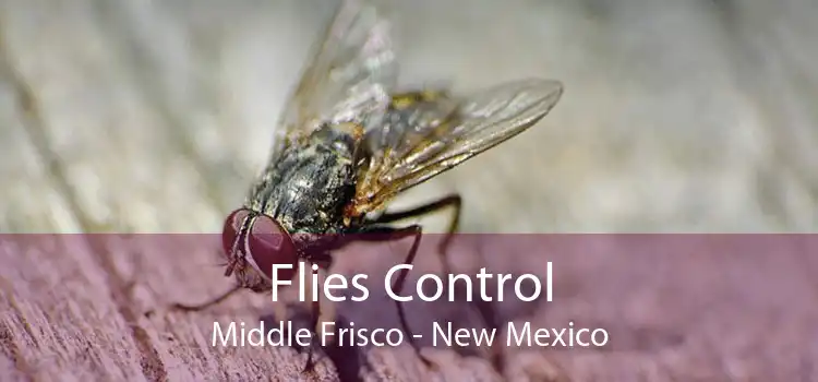 Flies Control Middle Frisco - New Mexico