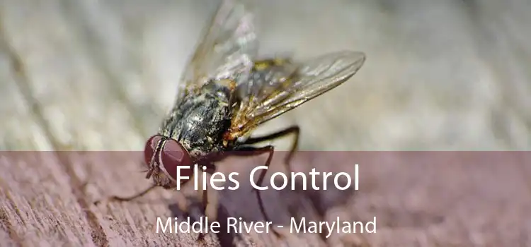 Flies Control Middle River - Maryland