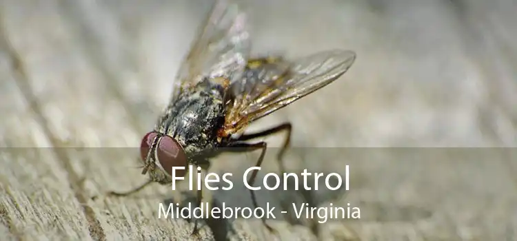 Flies Control Middlebrook - Virginia