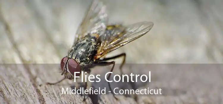 Flies Control Middlefield - Connecticut