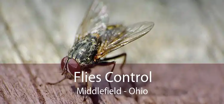 Flies Control Middlefield - Ohio