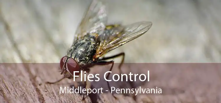Flies Control Middleport - Pennsylvania