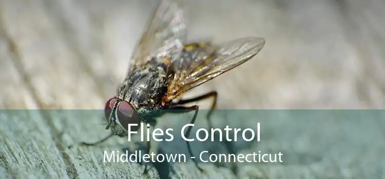 Flies Control Middletown - Connecticut
