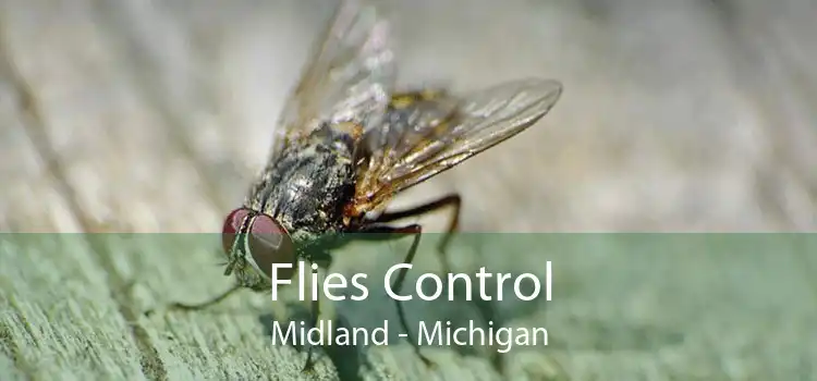 Flies Control Midland - Michigan