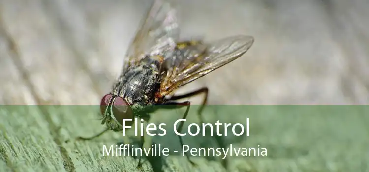 Flies Control Mifflinville - Pennsylvania