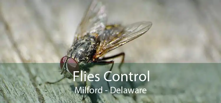Flies Control Milford - Delaware