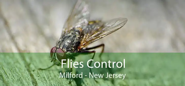 Flies Control Milford - New Jersey