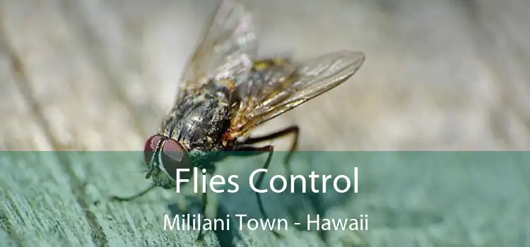 Flies Control Mililani Town - Hawaii