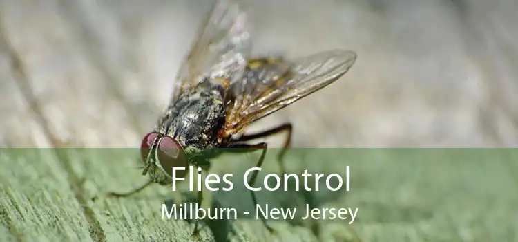 Flies Control Millburn - New Jersey