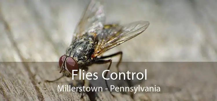 Flies Control Millerstown - Pennsylvania