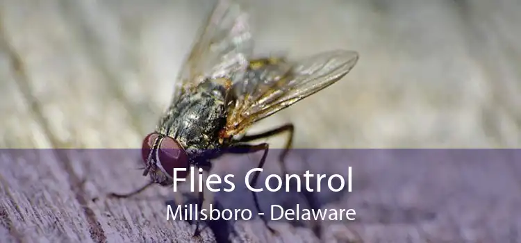 Flies Control Millsboro - Delaware
