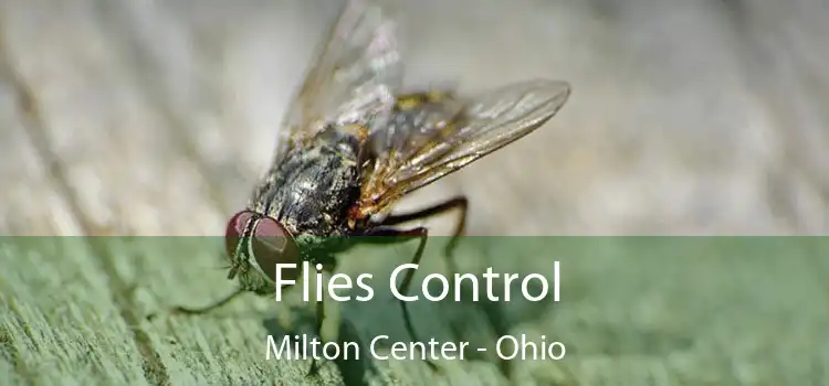 Flies Control Milton Center - Ohio