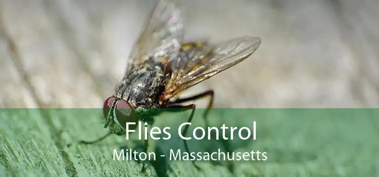 Flies Control Milton - Massachusetts