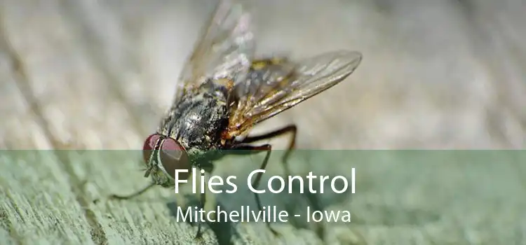 Flies Control Mitchellville - Iowa