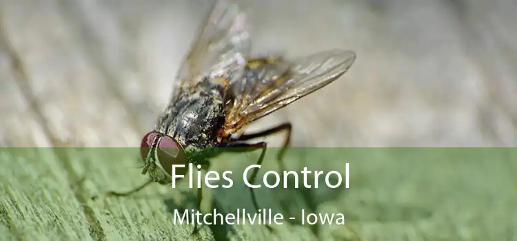 Flies Control Mitchellville - Iowa