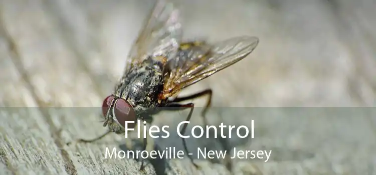 Flies Control Monroeville - New Jersey