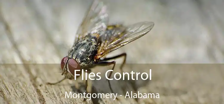 Flies Control Montgomery - Alabama