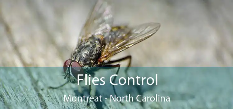 Flies Control Montreat - North Carolina
