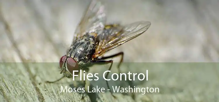 Flies Control Moses Lake - Washington