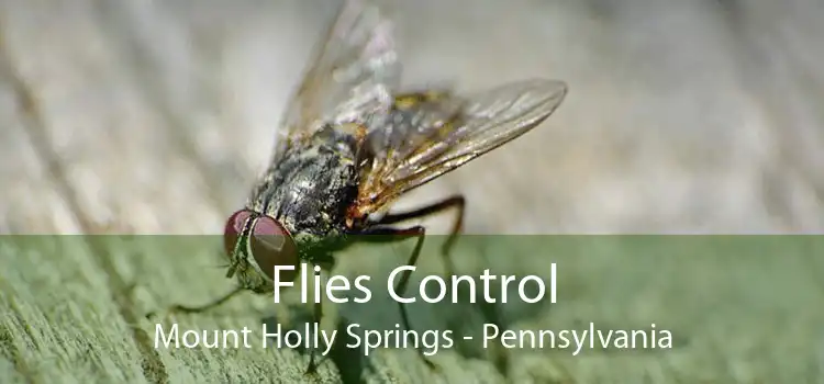Flies Control Mount Holly Springs - Pennsylvania