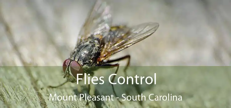 Flies Control Mount Pleasant - South Carolina