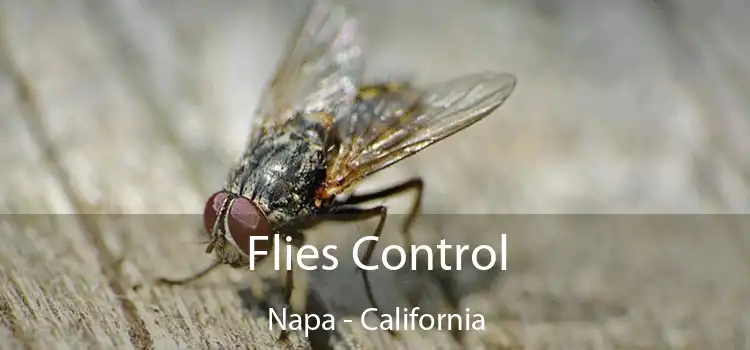 Flies Control Napa - California