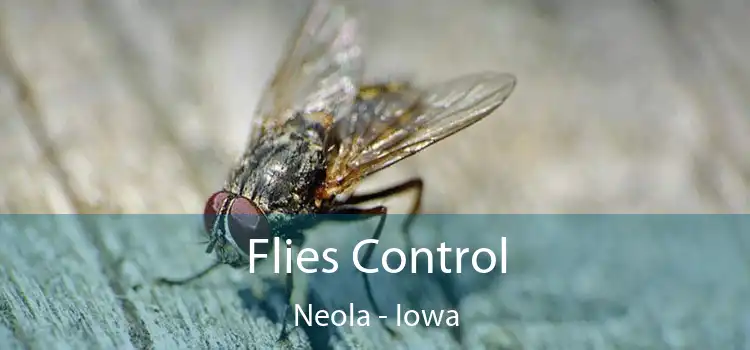 Flies Control Neola - Iowa