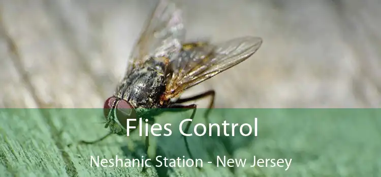 Flies Control Neshanic Station - New Jersey