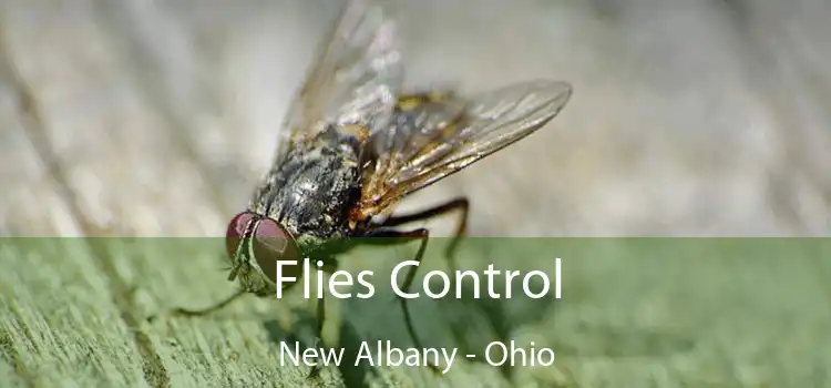 Flies Control New Albany - Ohio