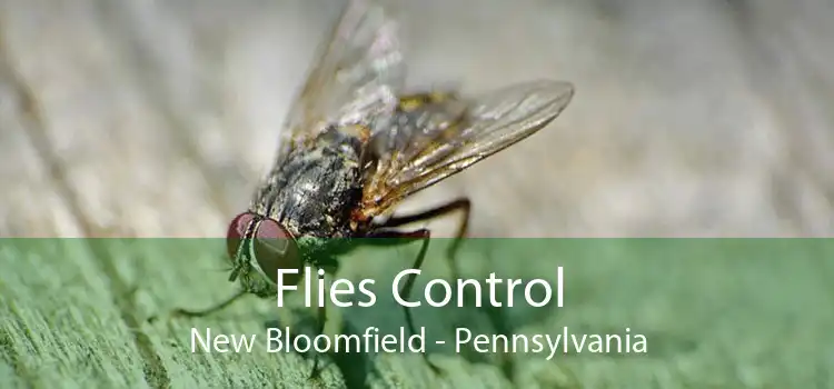Flies Control New Bloomfield - Pennsylvania