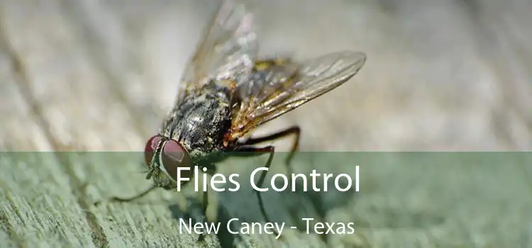 Flies Control New Caney - Texas