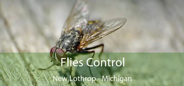 Flies Control New Lothrop - Michigan