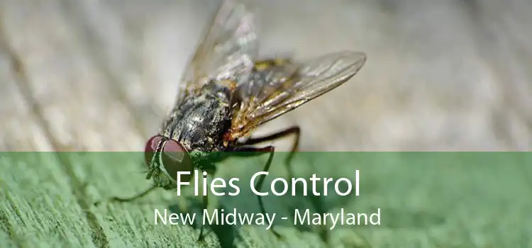 Flies Control New Midway - Maryland
