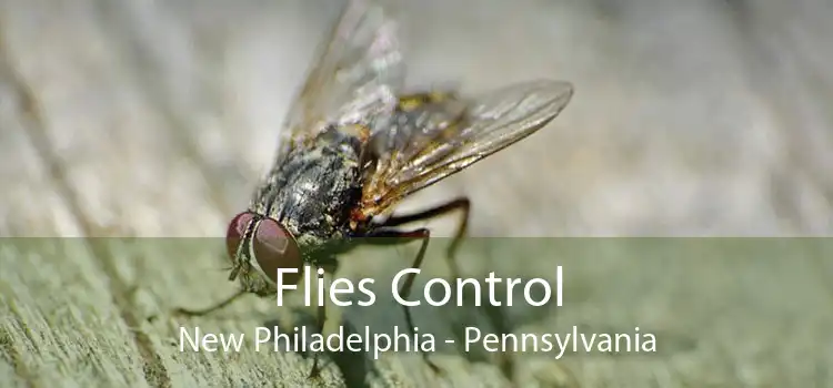 Flies Control New Philadelphia - Pennsylvania