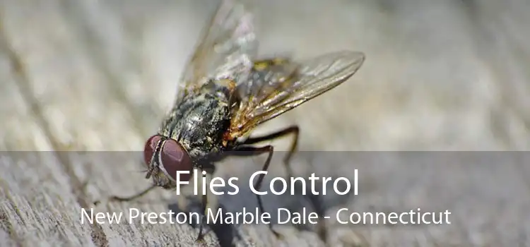 Flies Control New Preston Marble Dale - Connecticut