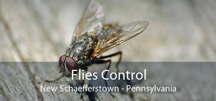 Flies Control New Schaefferstown - Pennsylvania