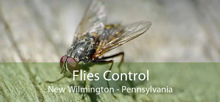 Flies Control New Wilmington - Pennsylvania
