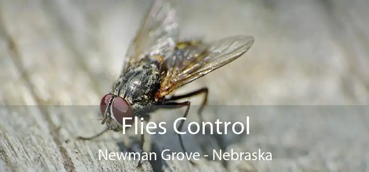 Flies Control Newman Grove - Nebraska
